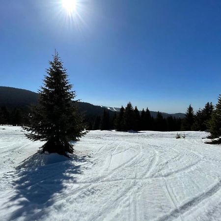 Kopaonik -Beautiful View Apartment- Skiing Экстерьер фото